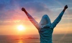 Objetivos de negocio