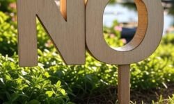 Cambia el “no” por el “sí” y factura un 23% más Cambia el "no" por el "sí"